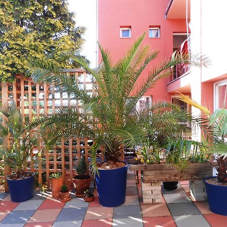 Penzion Vilka Podhajcanka Podhajska Ngoại thất bức ảnh
